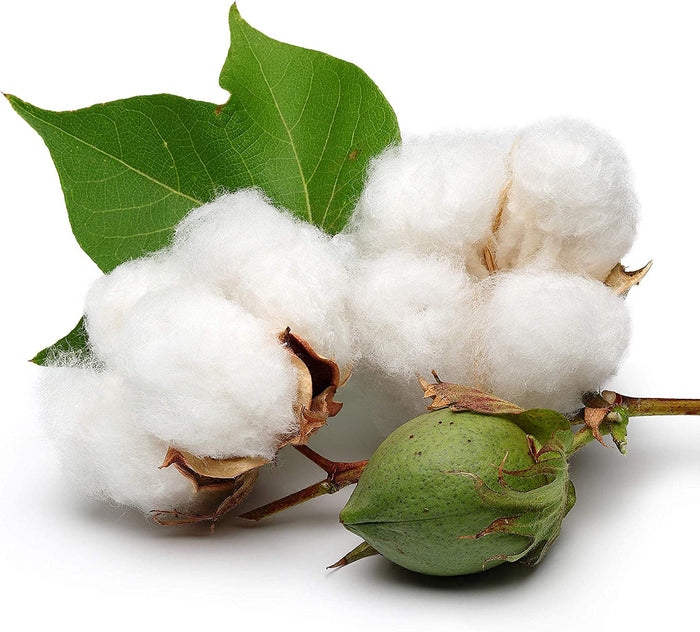 Organic cotton or conventional cotton: the difference
