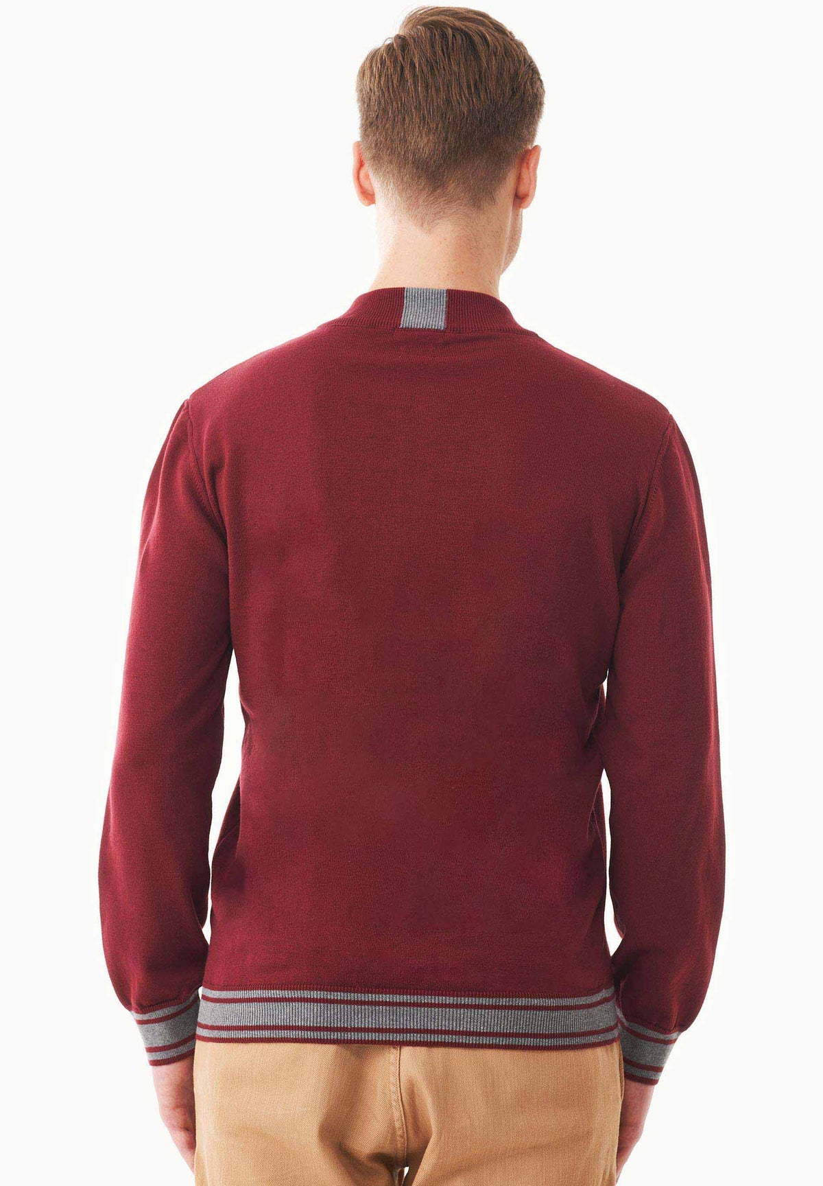 Pullover aus Bio-Baumwolle mit Troyerkragen – Ansicht 5